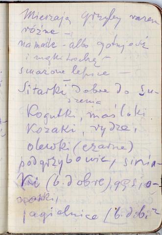 Open original Obiekt cyfrowy