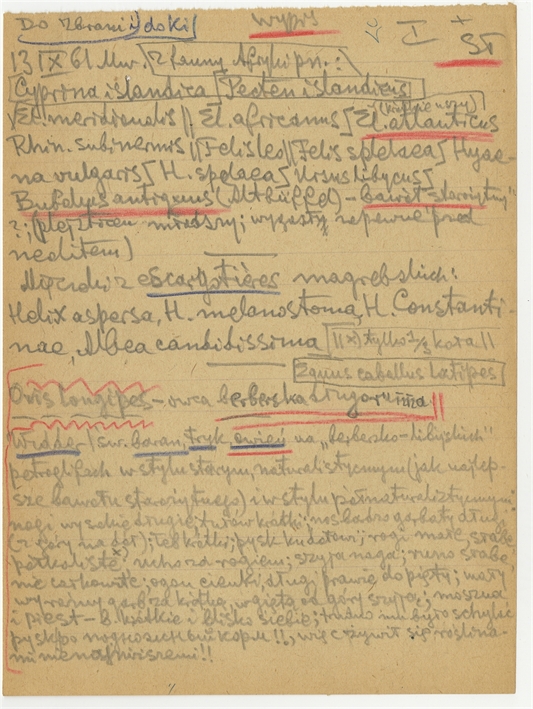 Open original Objet numérique