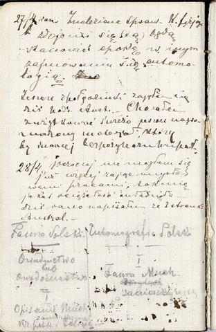 Open original Obiekt cyfrowy