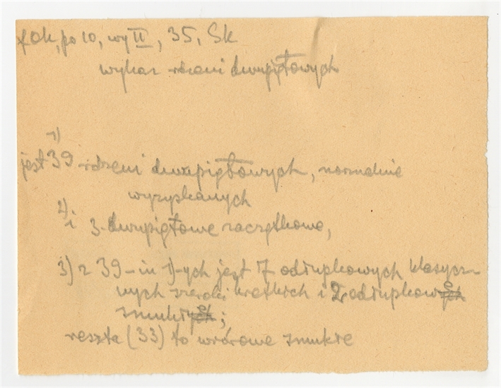 Open original Obiekt cyfrowy