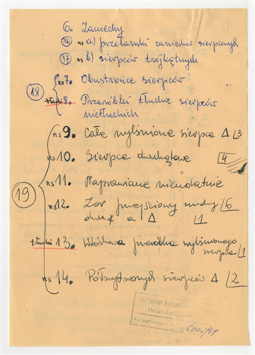 Open original Obiekt cyfrowy