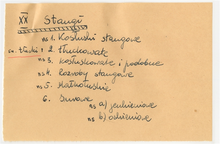 Open original Obiekt cyfrowy