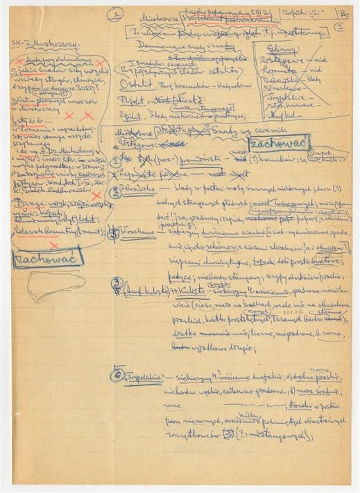 Open original Obiekt cyfrowy