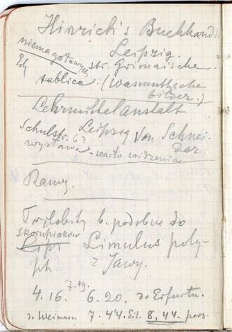 Open original Objet numérique