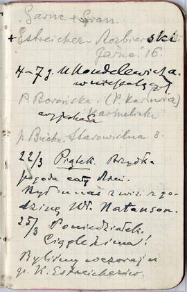 Notatnik nr 65 z odręcznymi notatkami Erazma Majewskiego z okresu od 19.03.1907 r. do 15.11.1907 ...