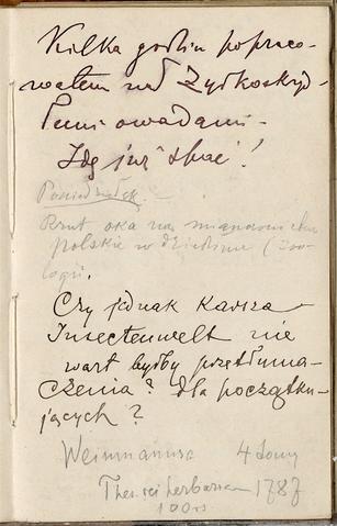 Open original Objet numérique