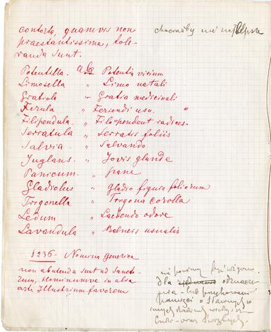 Open original Obiekt cyfrowy