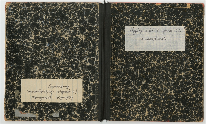 Open original Digital object