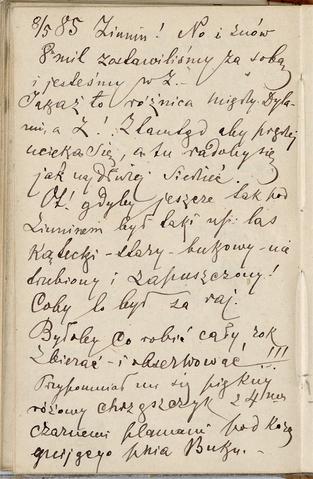 Open original Obiekt cyfrowy