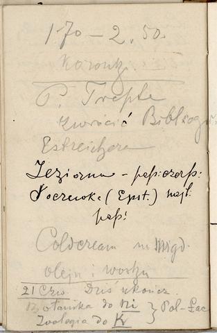 Open original Objet numérique