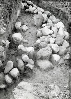 Fotografia czarno-biała (odbitka) obiektów archeologicznych  na cmentarzysku kurhanowym w miejsco...