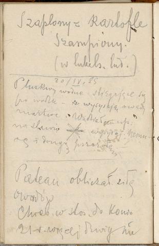 Open original Objet numérique