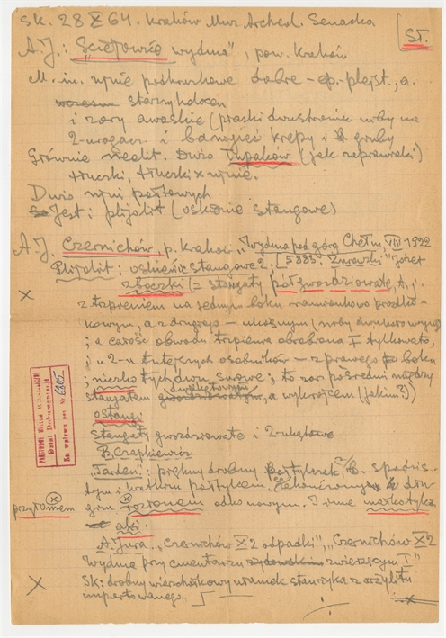 Open original Obiekt cyfrowy