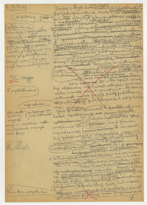 Open original Obiekt cyfrowy