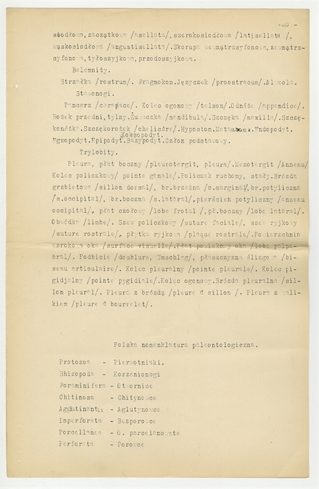 Open original Obiekt cyfrowy