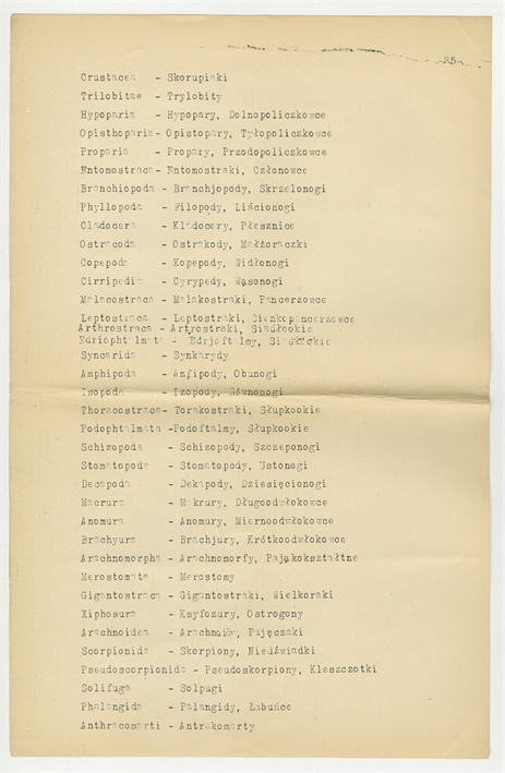 Open original Objet numérique