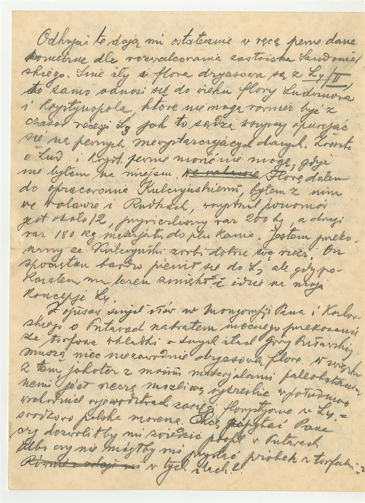 Open original Obiekt cyfrowy