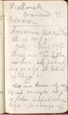 Open original Objet numérique