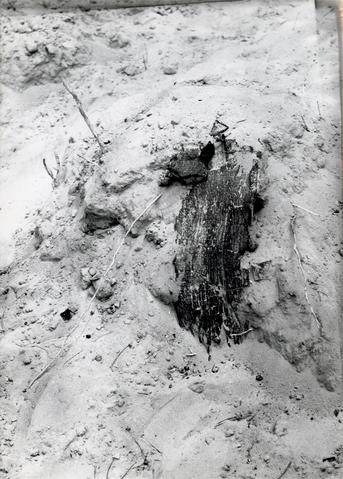 Open original Objet numérique