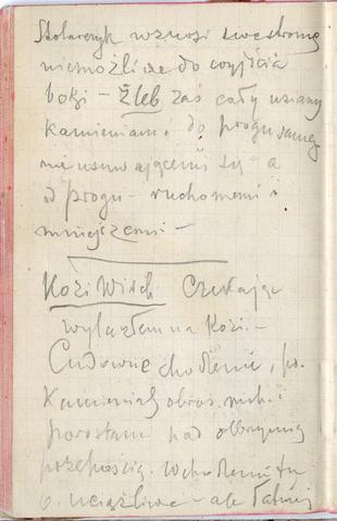 Open original Obiekt cyfrowy