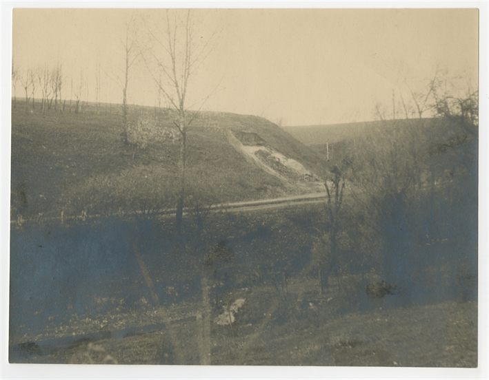 Open original Obiekt cyfrowy