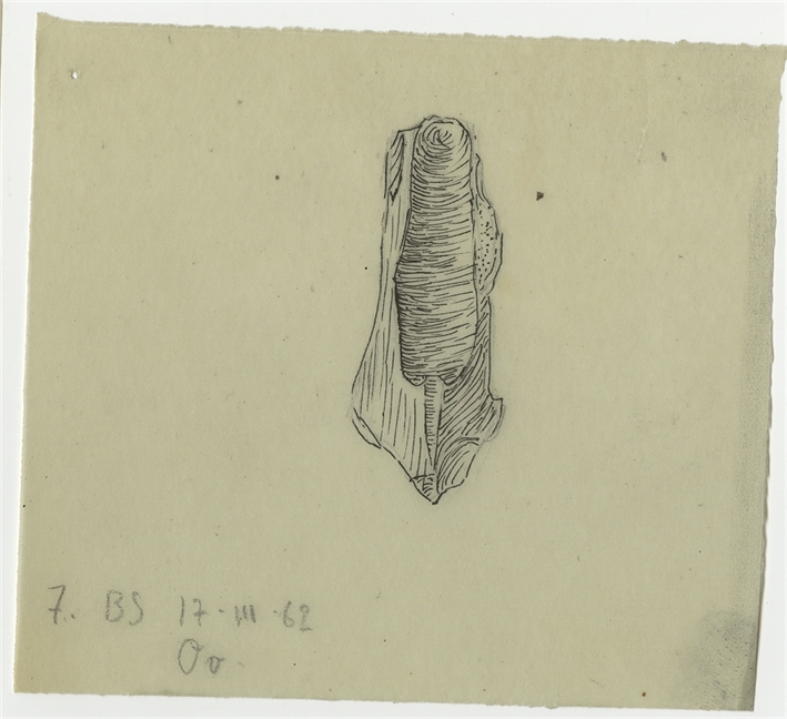 Open original Objet numérique