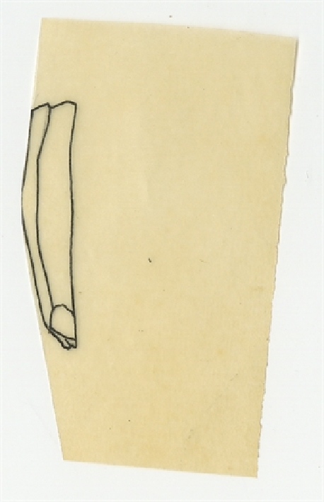 Open original Objet numérique