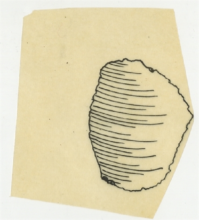 Open original Obiekt cyfrowy