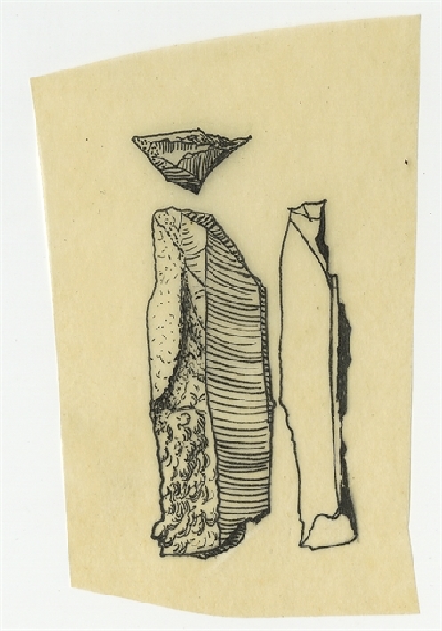 Open original Objet numérique