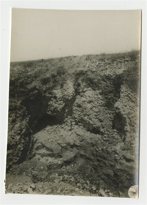 Open original Obiekt cyfrowy