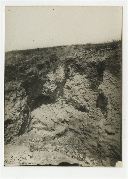 Open original Objet numérique