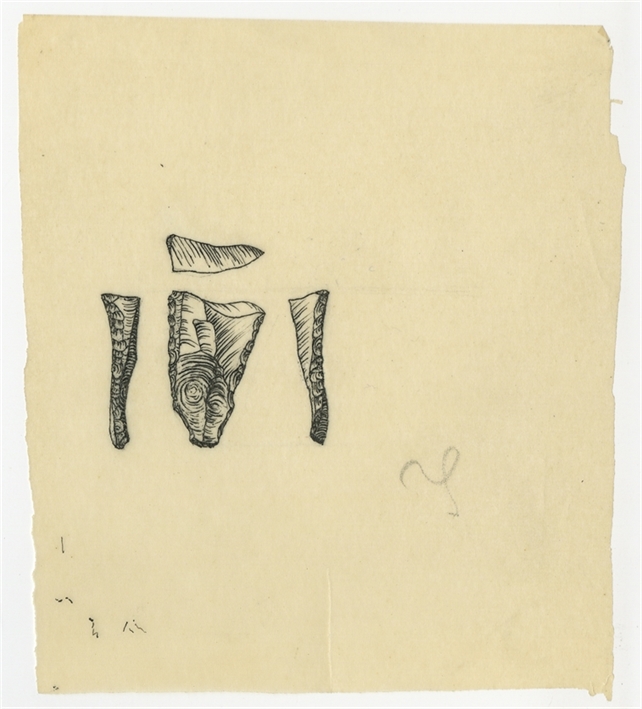 Open original Obiekt cyfrowy