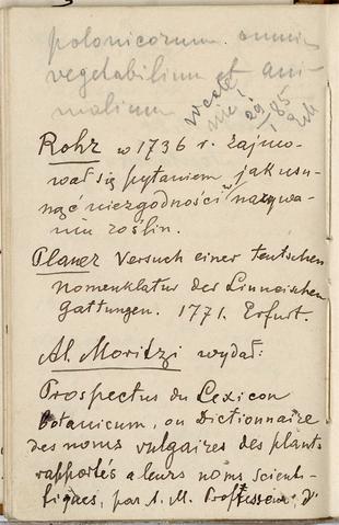 Open original Objet numérique