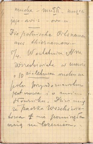 Open original Obiekt cyfrowy