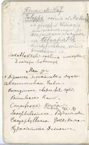 Open original Objet numérique