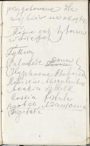 Open original Obiekt cyfrowy