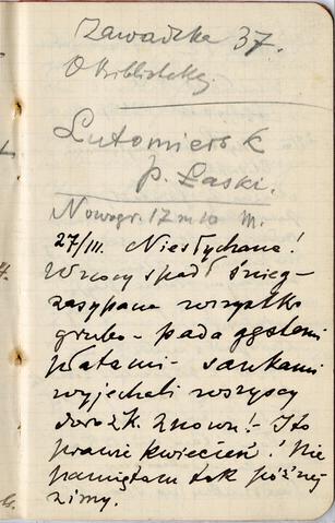 Open original Objet numérique