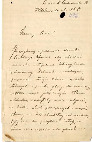 Open original Objet numérique