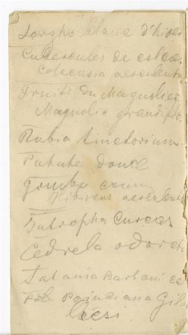 Open original Obiekt cyfrowy