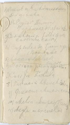 Open original Obiekt cyfrowy