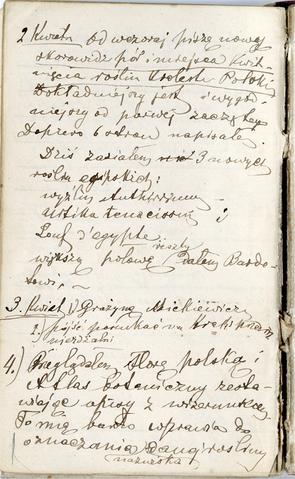 Open original Objet numérique