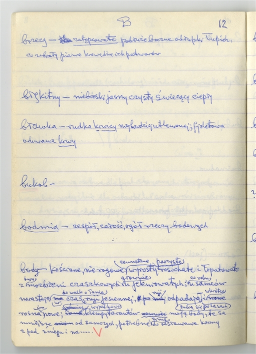 Open original Objet numérique