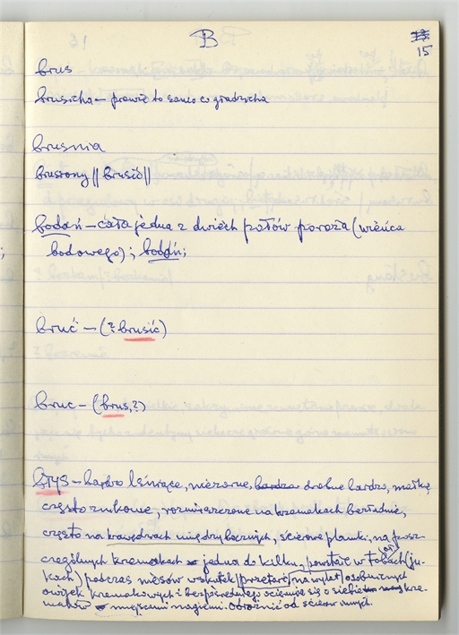 Open original Obiekt cyfrowy