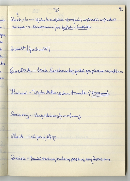 Open original Obiekt cyfrowy