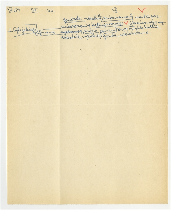 Open original Objet numérique