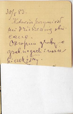 Open original Objet numérique