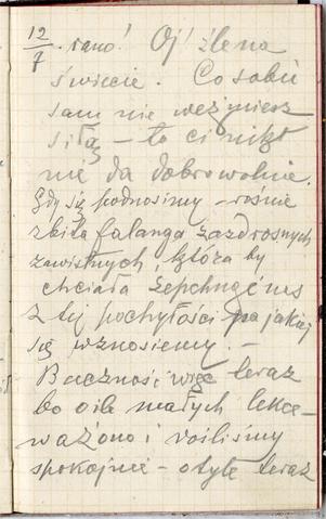 Open original Obiekt cyfrowy