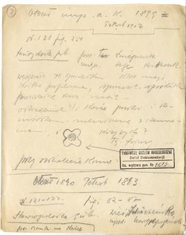 Odręczne notatki Józefa Żurowskiego z raportów Carskiej Komisji Archeologicznej w Petersburgu wra...