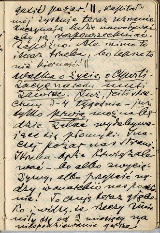 Open original Obiekt cyfrowy