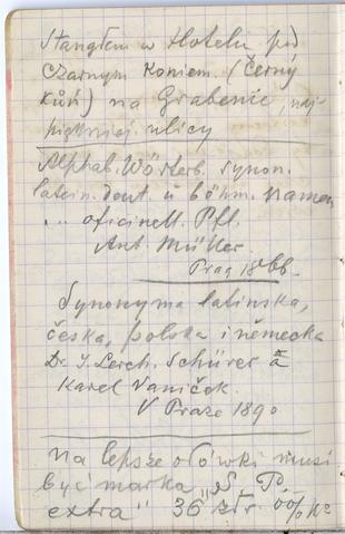 Open original Obiekt cyfrowy